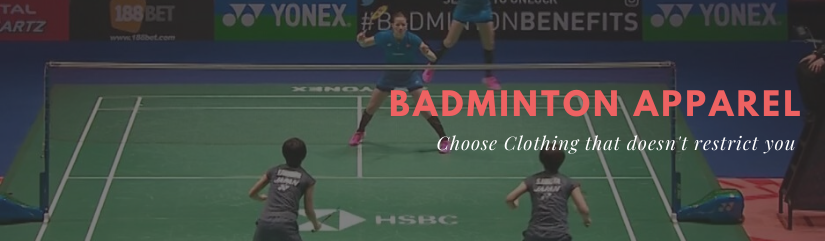 BADMINTON STARS - Play Online for Free!