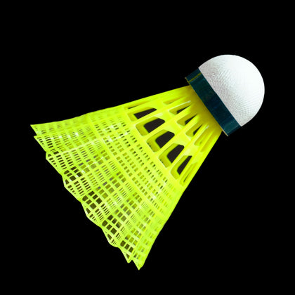 POWER BADMINTON - Play Online for Free!