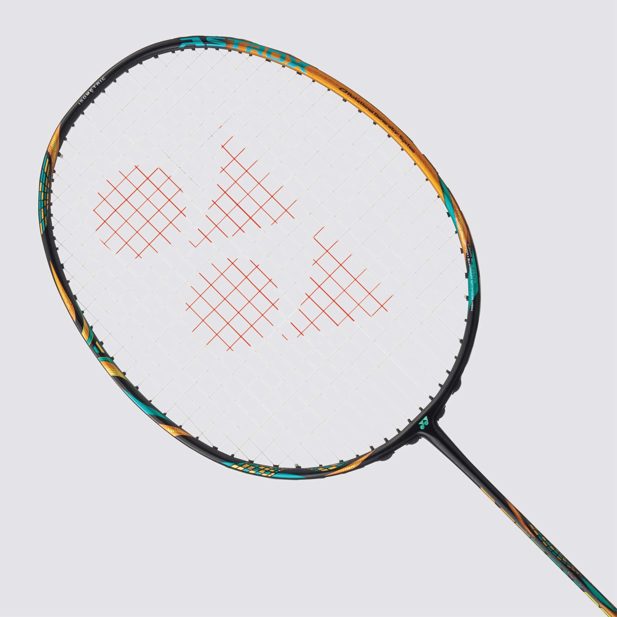 nydhi badminton strings