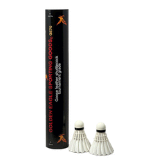 GE70_AI_medium.gif?v=1656326569